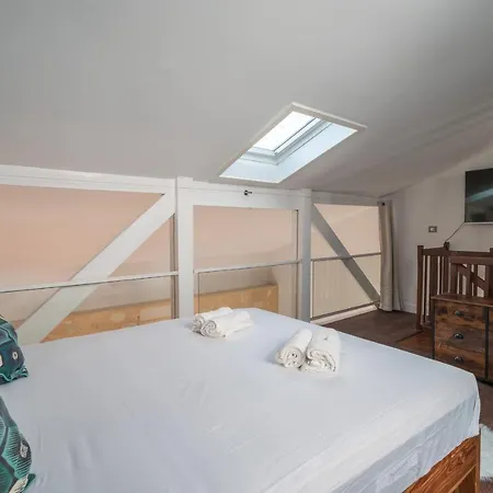 Apartment Large Bright Duplex In
